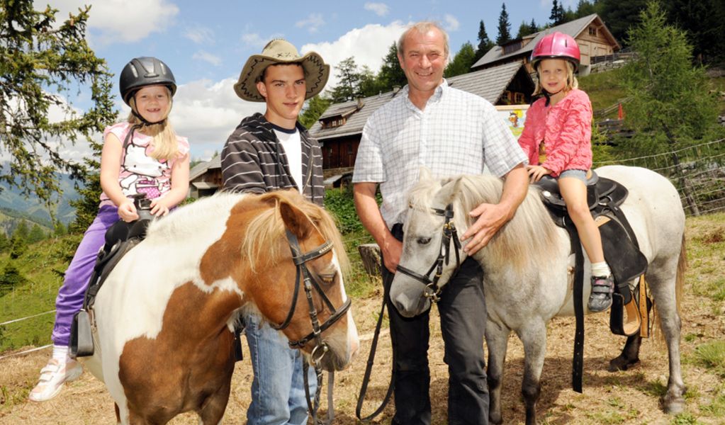 Pritzhütte - St. Michael im Lungau - Lungau