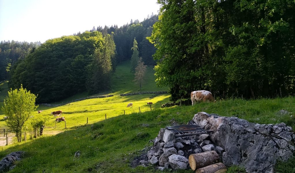 Lippenbauernalm - St. Wolfgang - Salzkammergut