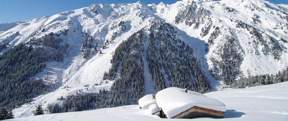 Hotel Almhof Roswitha - Hippach - Zillertal