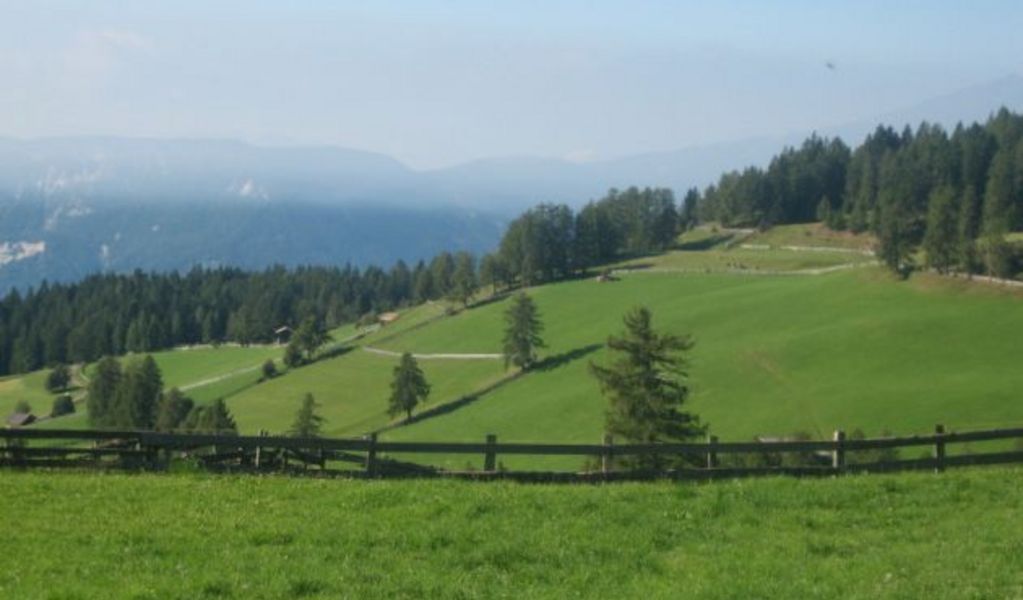 Leadner Alm - Vöran - Meran und Umgebung