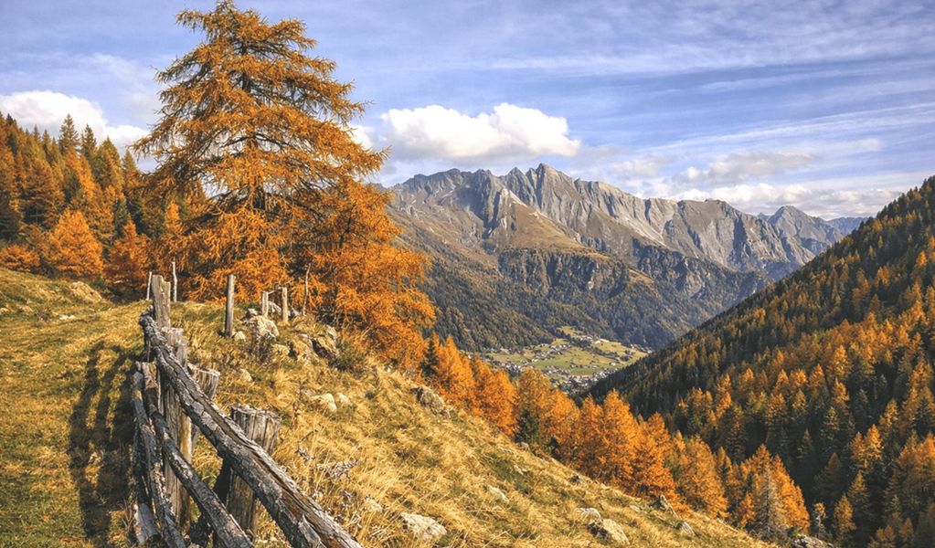 Almhütte Santnerhof - Virgen - Osttirol