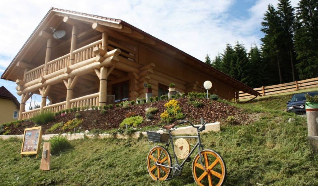 Blockhausurlaub Drechsler - Alpl - Hochsteiermark