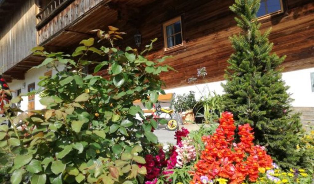 Ferienhaus Weberhof - Reith im Alpbachtal - Alpbachtal