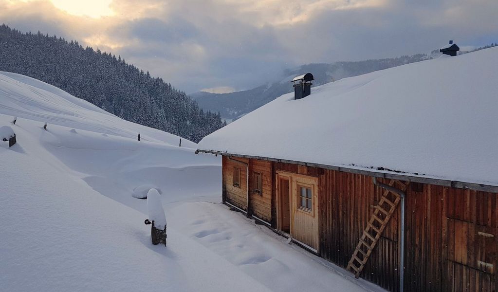 Nösslau Alm - Maria Alm - Hochkönig