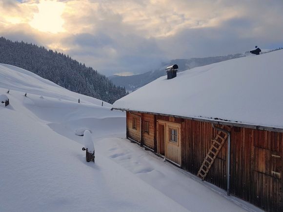 Nösslau Alm - Maria Alm - Hochkönig