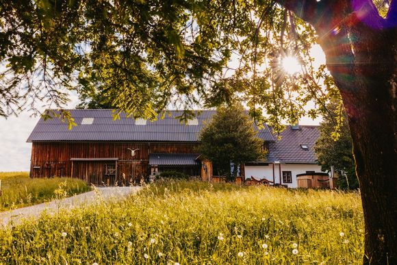 Nestelberg 17 - Lackenhof / Gaming - Mostviertel