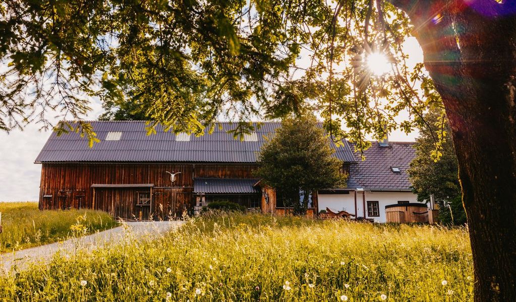 Nestelberg 17 - Lackenhof / Gaming - Mostviertel