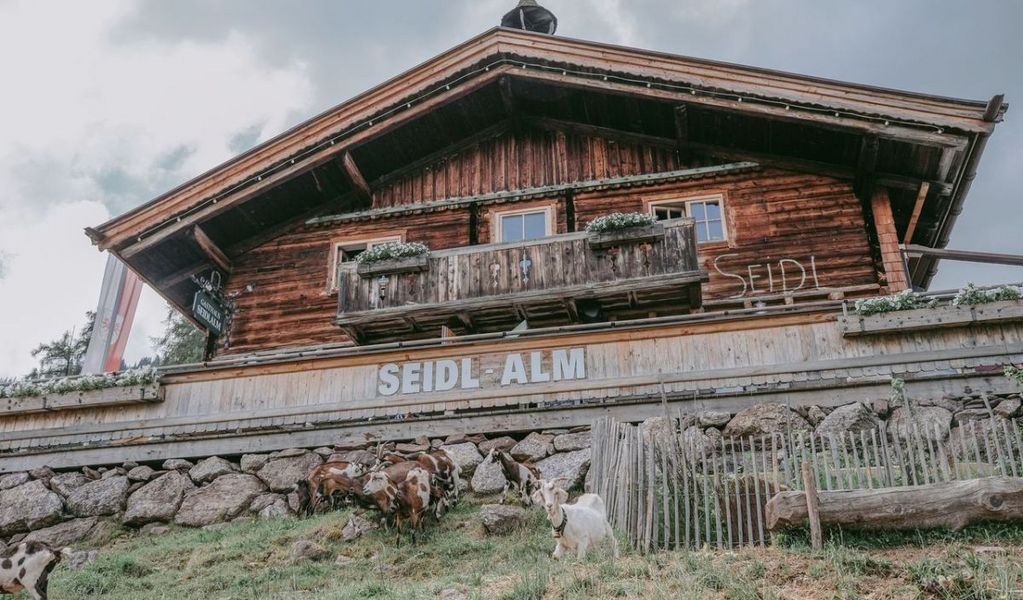 Seidlalm am Hahnenkamm - Kitzbühel - Kitzbühel