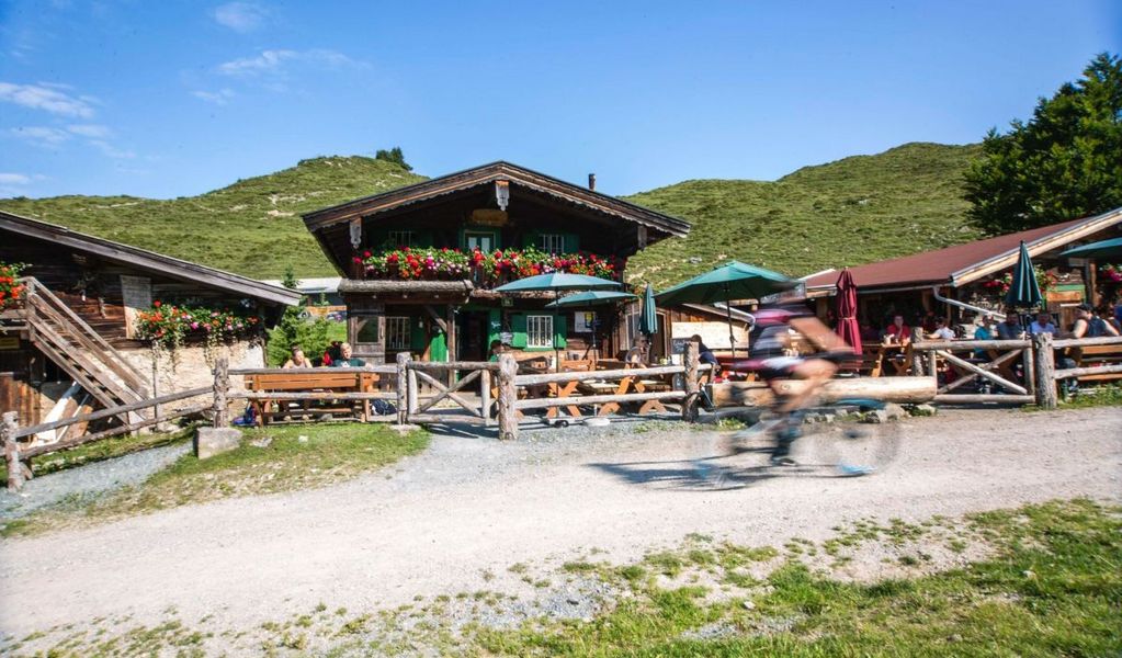 zur LINÄ - Stöfflhütte Walleralm - Scheffau - Wilder Kaiser