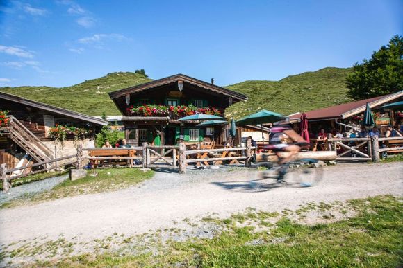zur LINÄ - Stöfflhütte Walleralm - Scheffau - Wilder Kaiser