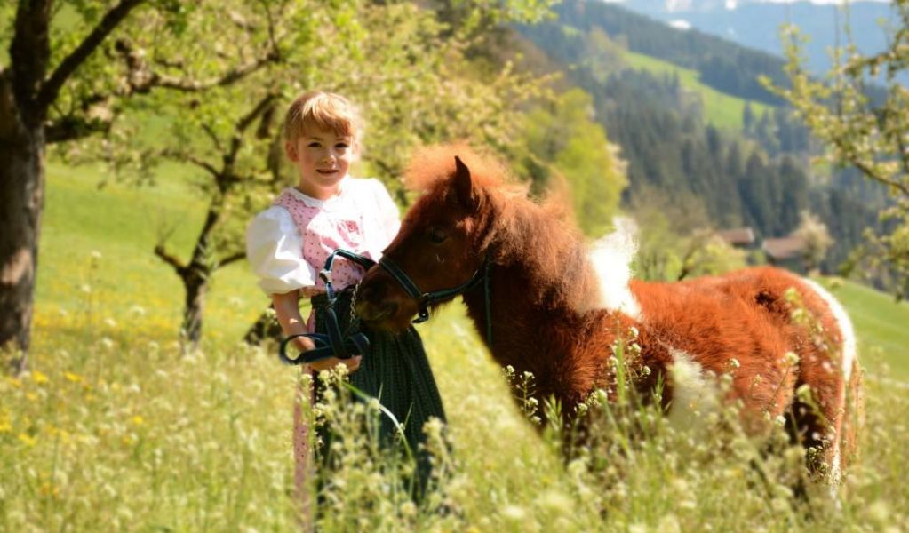 Binsalm - Hinterriss - Silberregion Karwendel