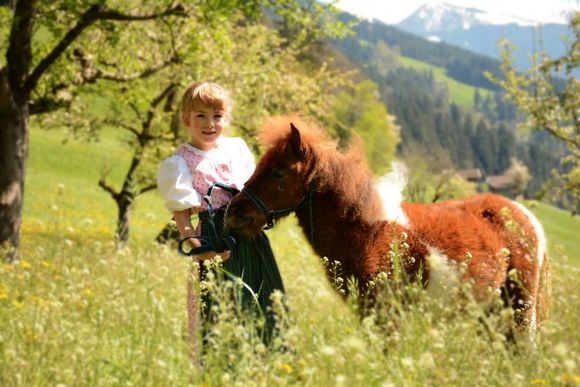 Binsalm - Hinterriss - Silberregion Karwendel