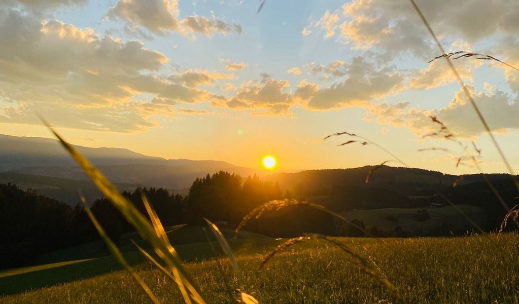 Das Olmhaus - St. Gertraud - Lavanttal