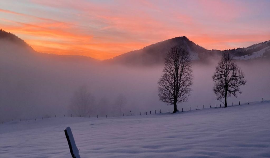 Flatscherkaser Unken - Unken - Saalachtal