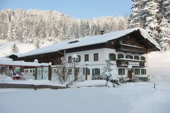 Jausenstation Maier - Pension Maier - Scheffau - Wilder Kaiser