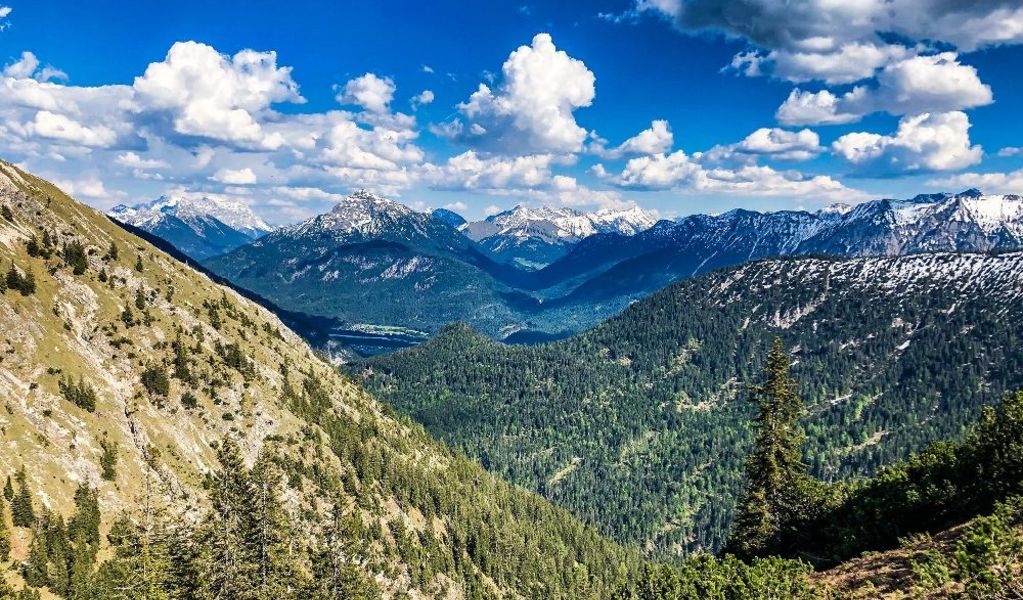Gräner Ödenalpe - Nesselwängle - Tannheimer Tal