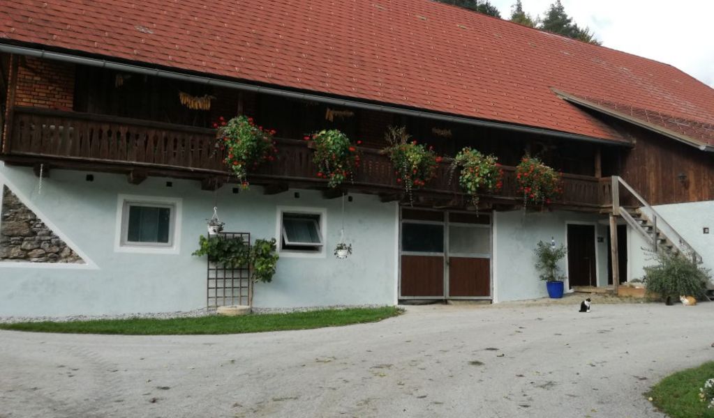 Ferienhaus Friedam - Schrems bei Frohnleiten - Erlebnisregion Graz