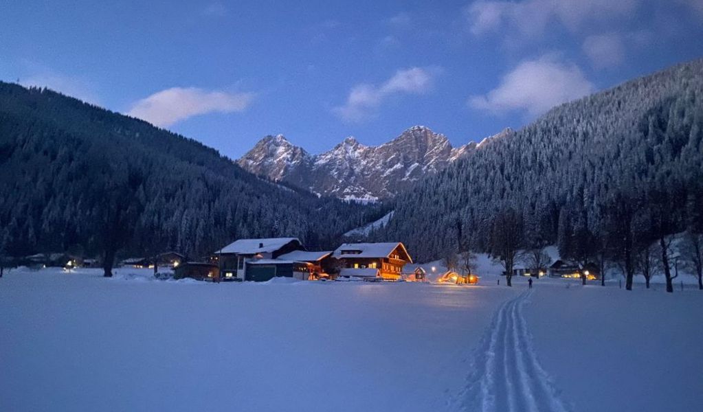 Sattlehnerhof - Ramsau am Dachstein - Schladming-Dachstein