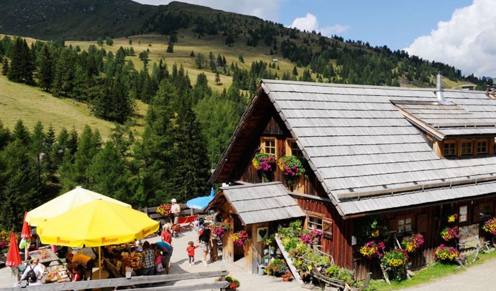 Pritzhütte - St. Michael im Lungau - Lungau