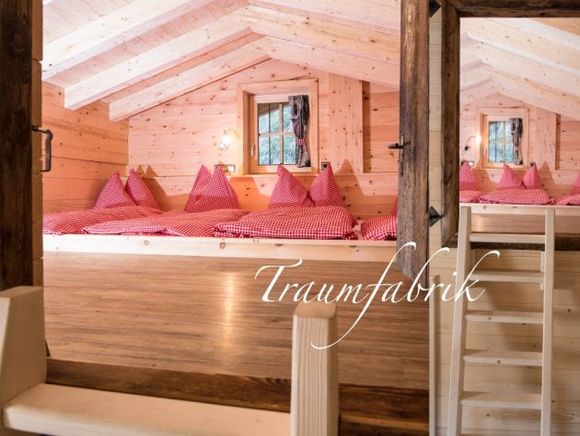 Almhütte-Chalet Friedlach - Zell am Ziller - Zillertal