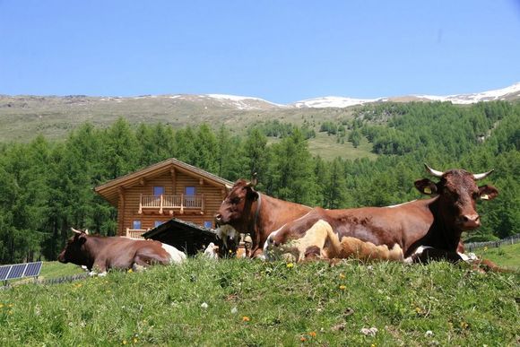 Tomperkasa - Heiligenblut - Hohe Tauern - die Nationalpark-Region