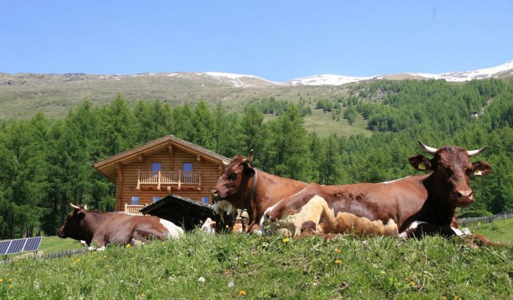 Tomperkasa - Heiligenblut - Hohe Tauern - die Nationalpark-Region