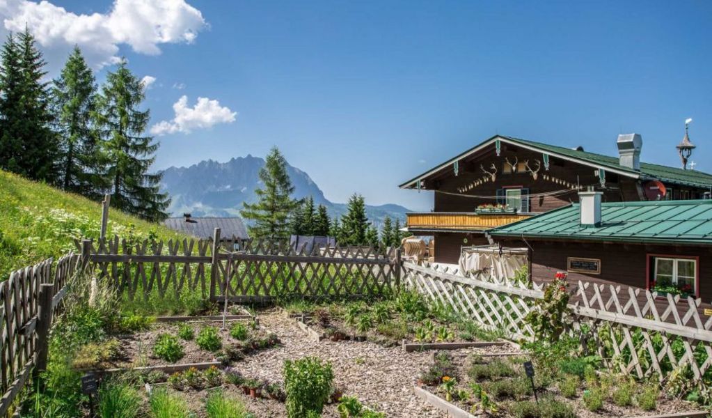 Angerer Alm - St. Johann in Tirol - St. Johann in Tirol