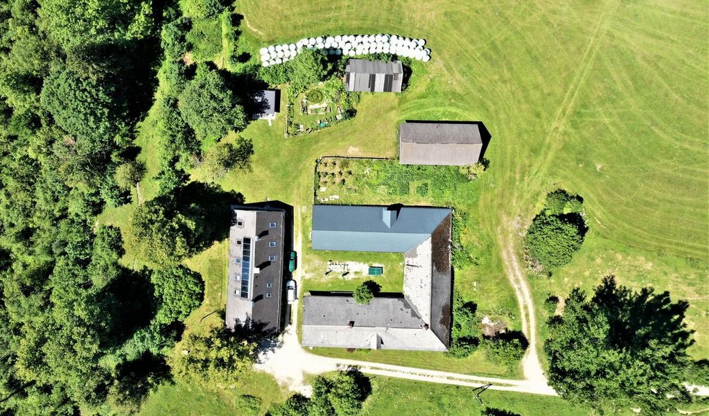 Höblinghof - Schwarzau im Gebirge - Wiener Alpen