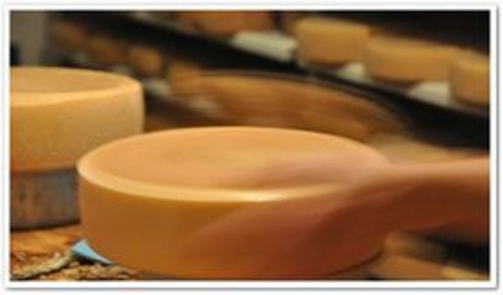 Alpe Mitterhaus - Vorderhindelang - Allgäu