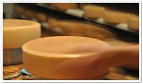 Alpe Mitterhaus - Vorderhindelang - Allgäu