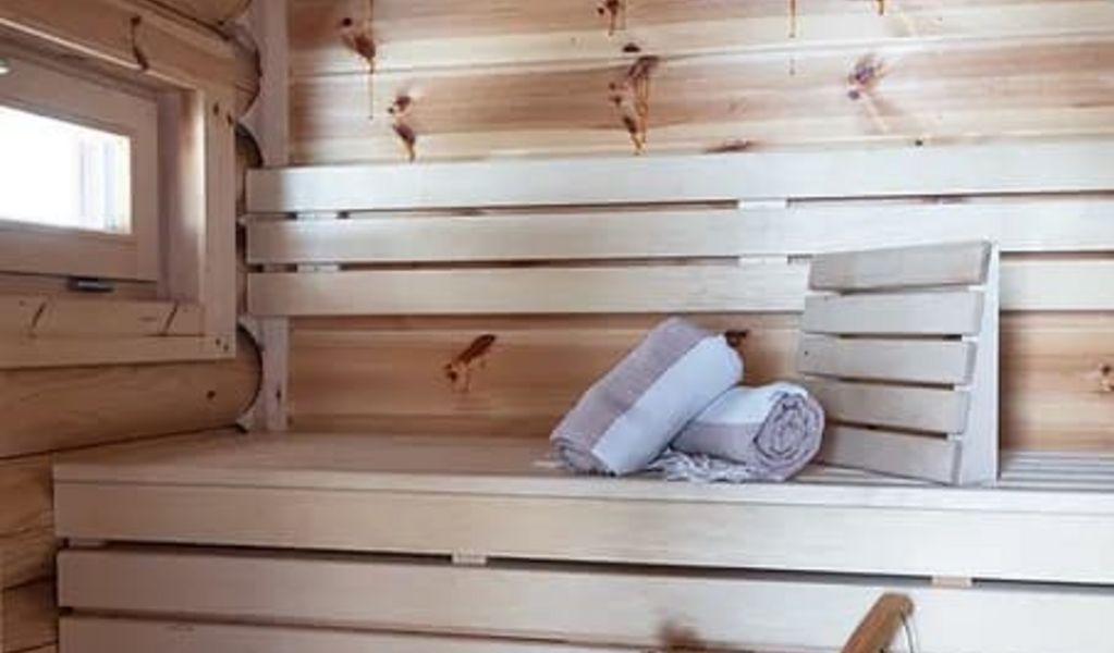 Hütte am Wald - Hof bei Salzburg - Salzburg und Umgebung