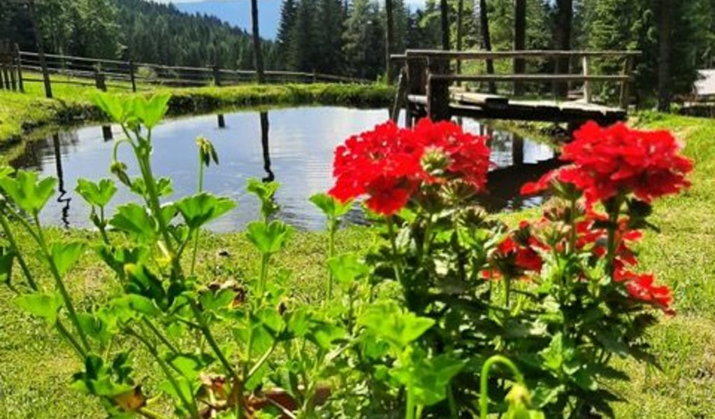 Fischerhütte Mühlen - Mühlen - Urlaubsregion Murau-Murtal