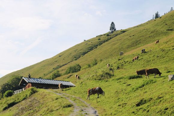 Pöchtlkaser - Weißbach - Salzburger Saalachtal