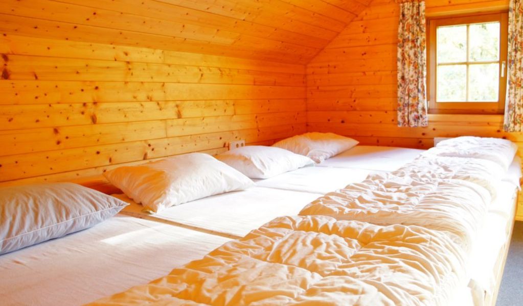 Scharlinger Alm - Haus im Ennstal - Schladming-Dachstein