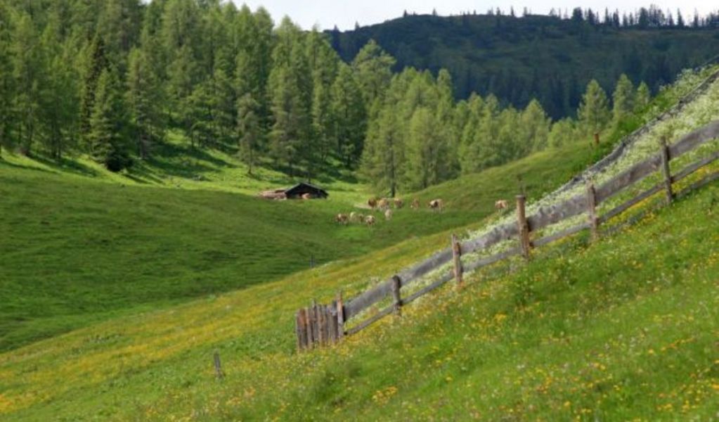 Karalm - St. Martin - Tennengau