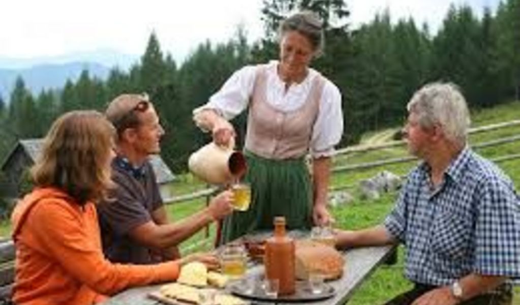 Pettenfirsthütte - Zell am Pettenfirst - Innviertel