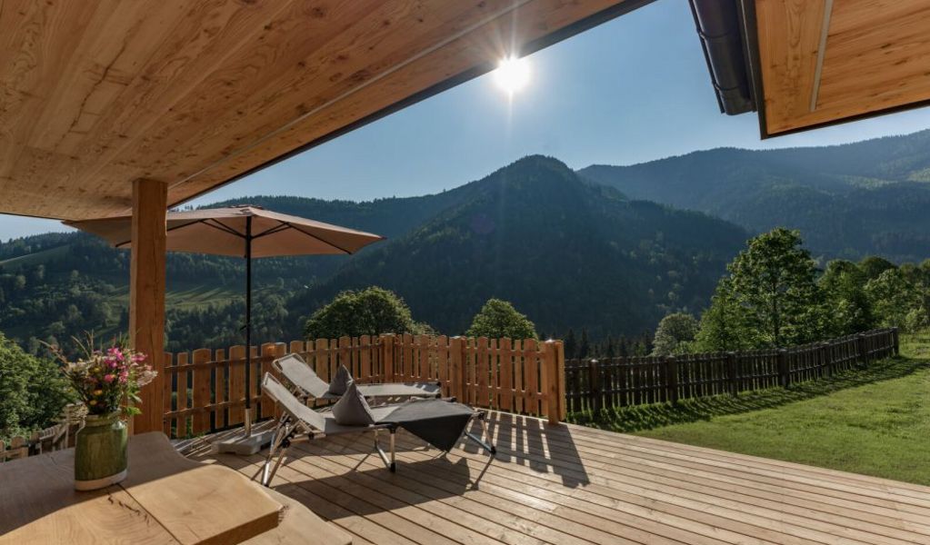 Ferienhaus Druckfeichterhof - Pruggern - Schladming-Dachstein