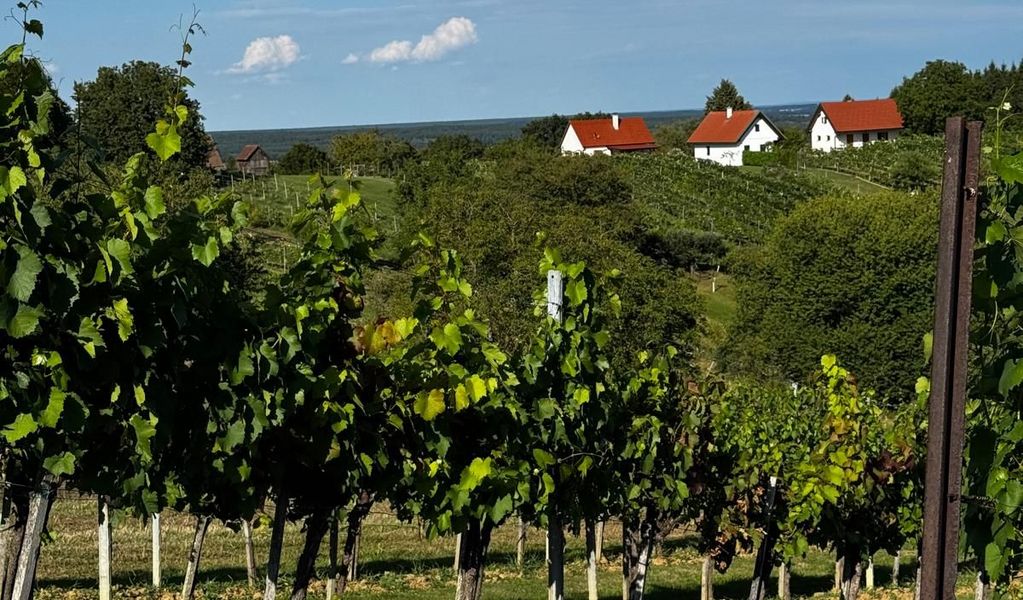 Ferienhaus Unger am Hamerlberg - Güssing - Südburgenland