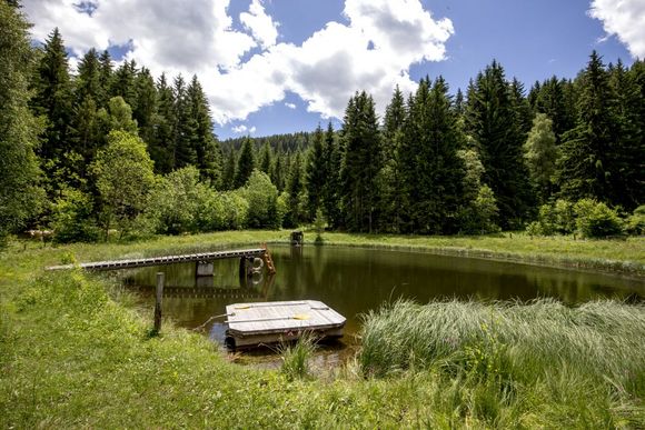 Almhütte Bauernhof Mandl - Murau - Urlaubsregion Murau-Murtal