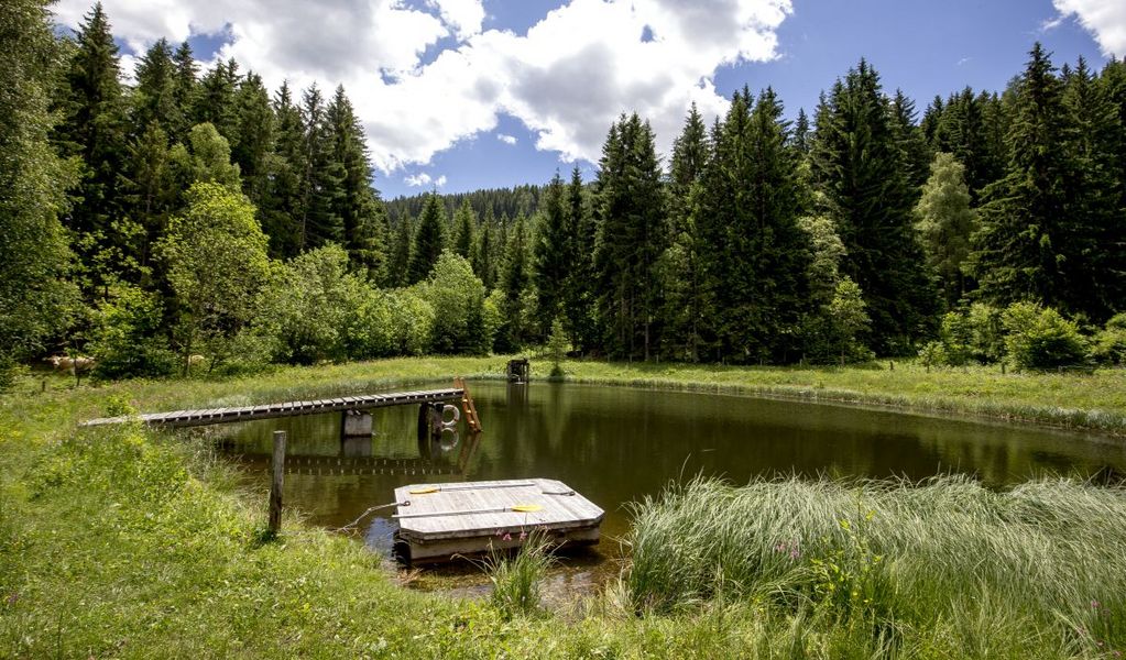 Almhütte Bauernhof Mandl - Murau - Urlaubsregion Murau-Murtal