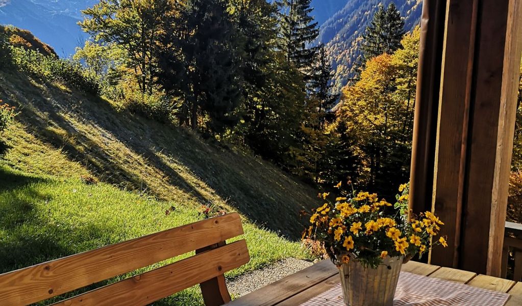 Ferienhaus Güatle - Schruns - Montafon