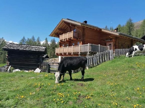 Tomperkasa - Heiligenblut - Hohe Tauern - die Nationalpark-Region