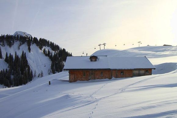 Almhütte Müllergut - St. Martin - Saalachtal
