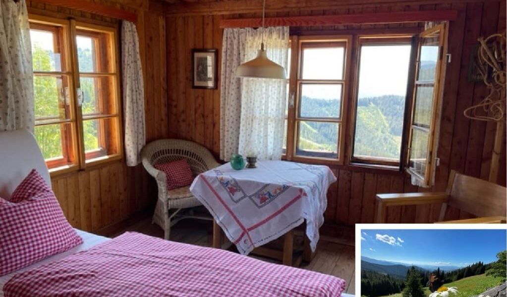 Almhütte am Gaberl - Weisskirchen - Murtal