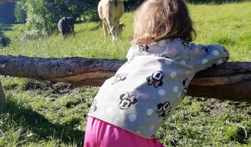 Kraber Alm im Metnitztal - Grades - Mittelkärnten