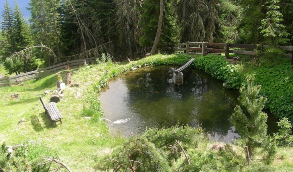 Ausspannalm - Gaimberg - Lienz - Osttirol