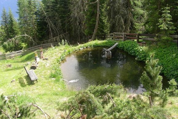 Ausspannalm - Gaimberg - Lienz - Osttirol