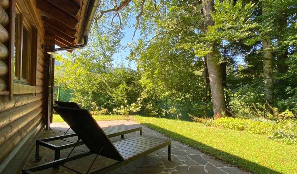 Hütte am Wald - Hof bei Salzburg - Salzburg und Umgebung