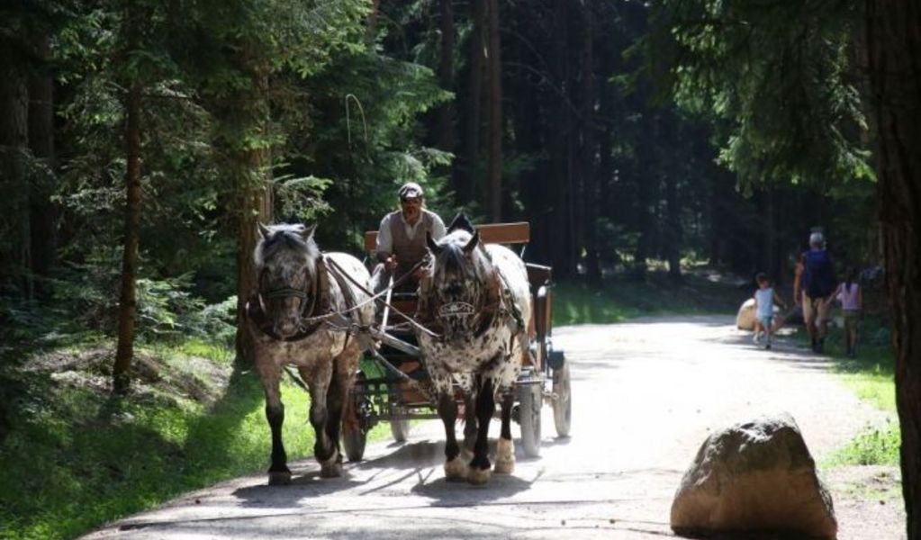 Tuffalm - Völs am Schlern - Dolomiten