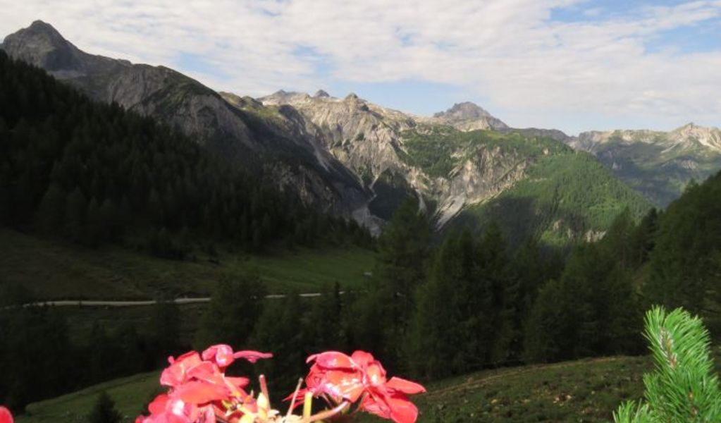 Scharfetthütte - Flachau - Salzburger Sportwelt